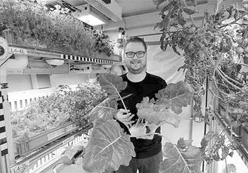 German polar vegetable trial success LED lights