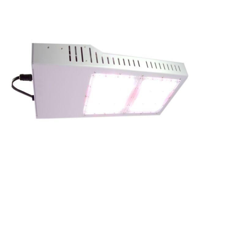 Reita CT 2000e LED EU 230-400 V